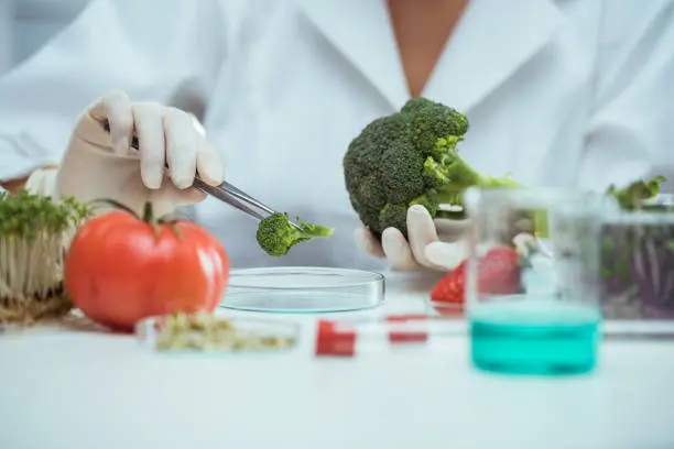 Food Testing Regulations in India