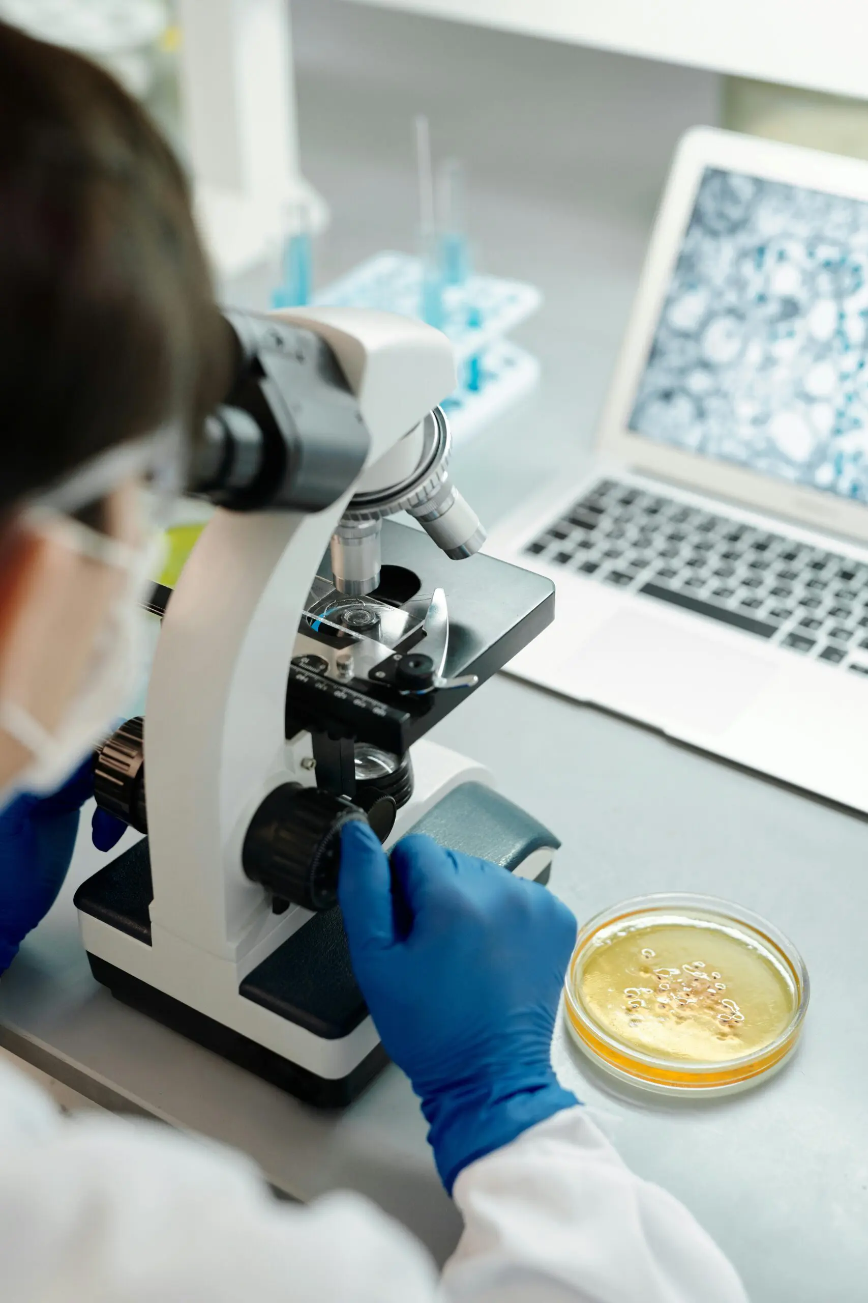Food Authenticity Testing