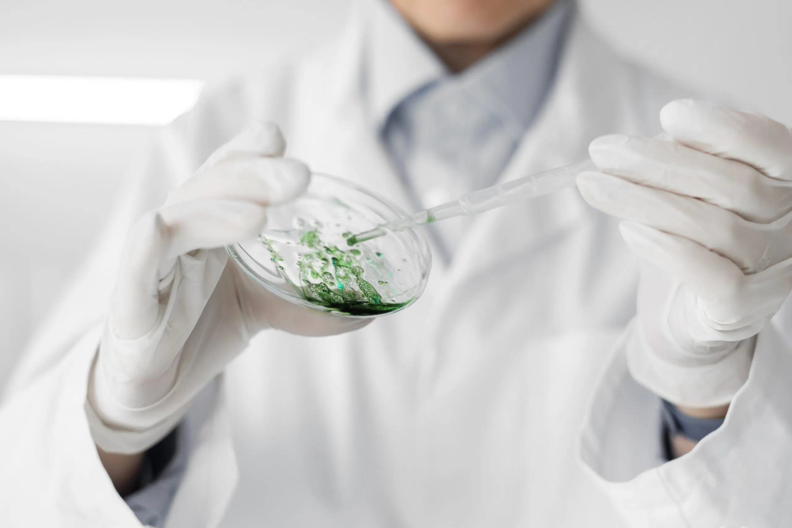 Food testing procedures