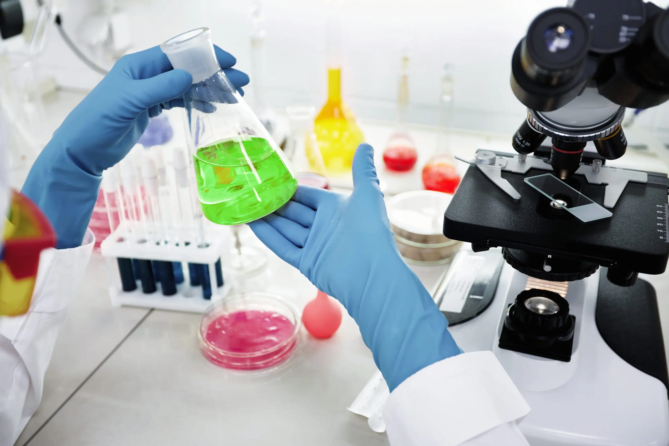 Food hygiene testing