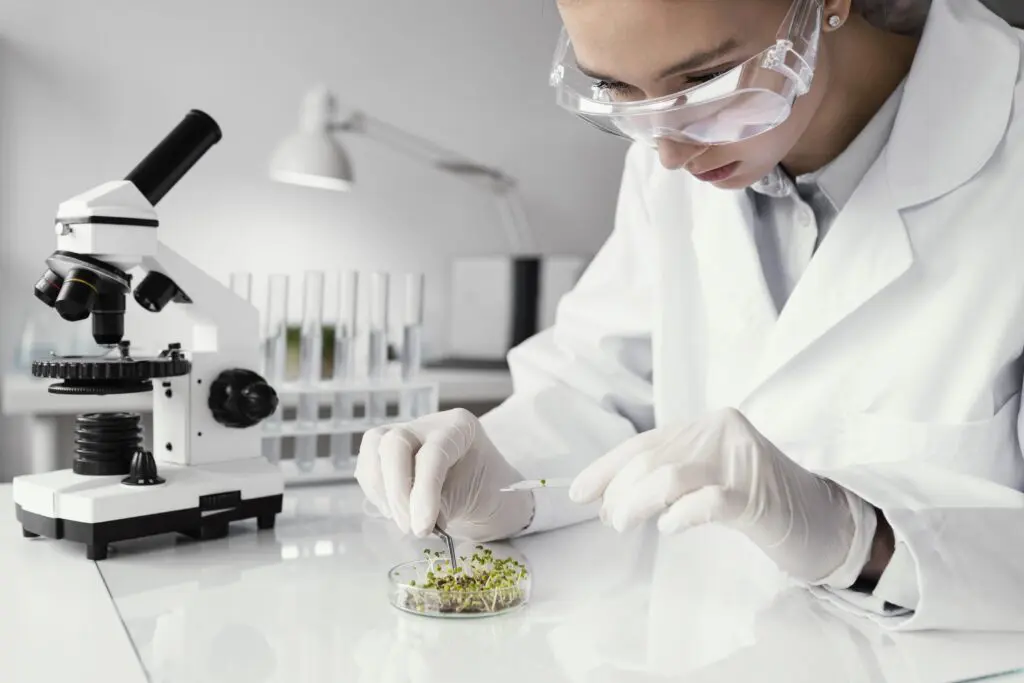 Food safety protocols
