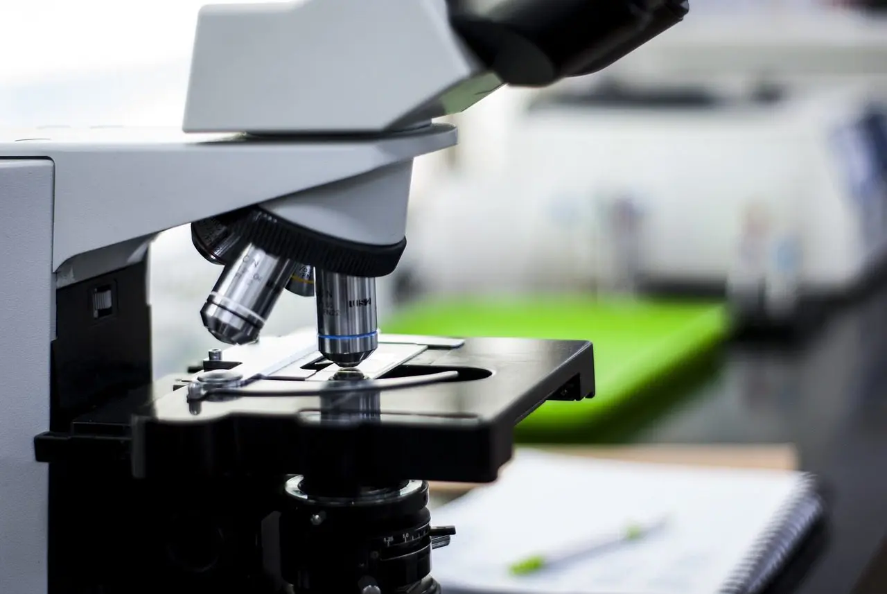 Food Quality Assurance
