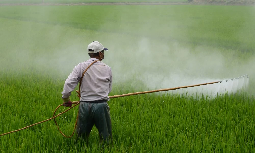 pesticide testing in water