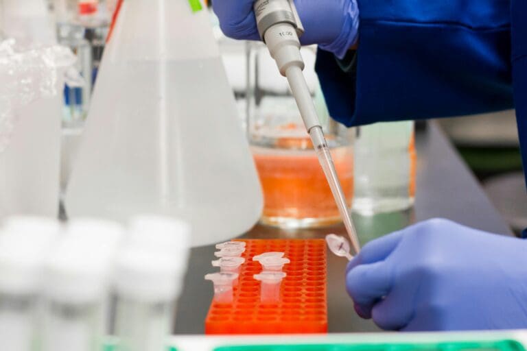 Quality Assurance in Organic Food Production