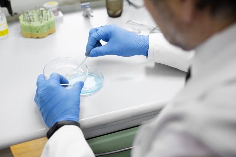 Rapid food testing methods