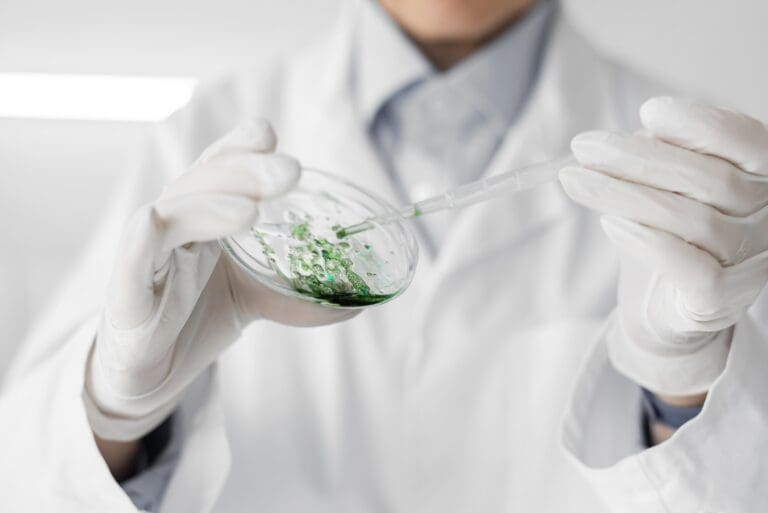 Food testing procedures