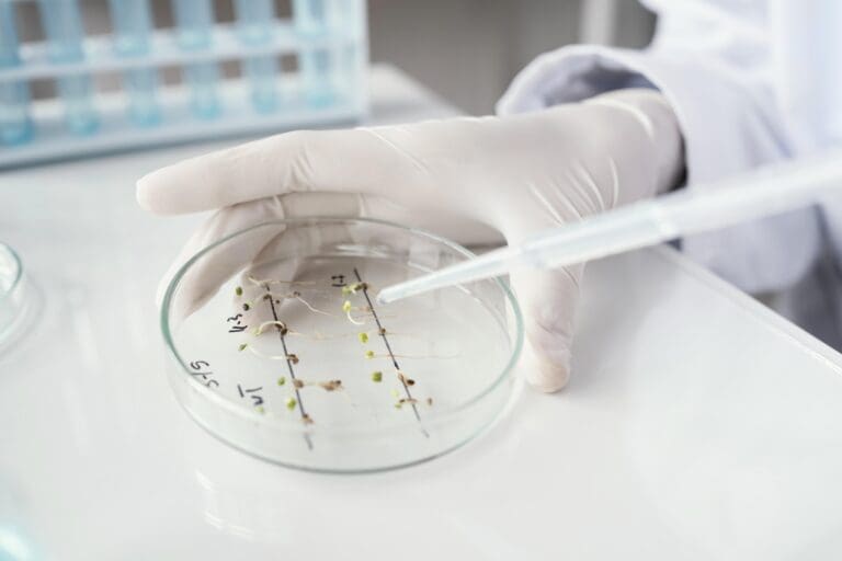 Microbiological food testing