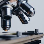 Food Nutrition Testing Laboratories